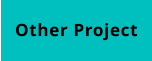 Other Project
